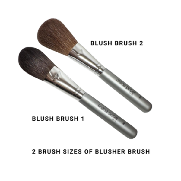 Blush/Highlighter Brush