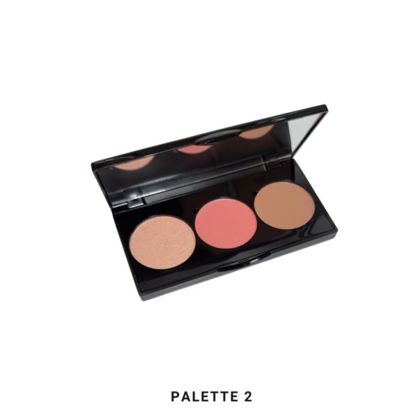 Multi Purpose Palettes